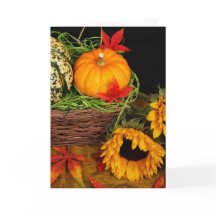 Queda Colheita Girassóis