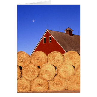 Cartão Queda na fazenda