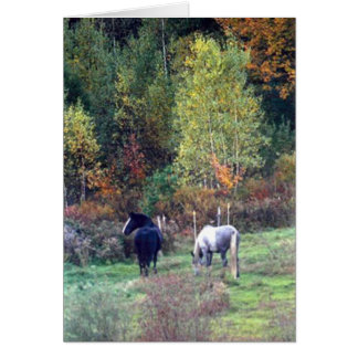 Cartão Queda que pasta - fazenda Percherons de Ridge do