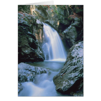 Cartão Quedas d'água nº 100