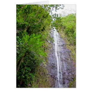 Cartão Quedas de Manoa