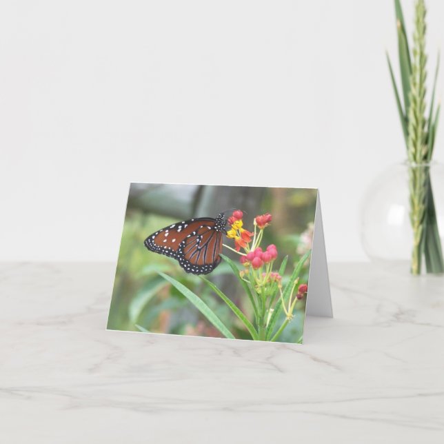 Cartão Queen Butterfly Notecard (Frente)