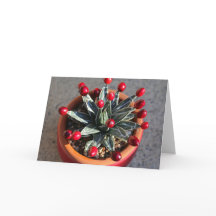 Queen Victoria Agave with Cranberries by DLBaldwin