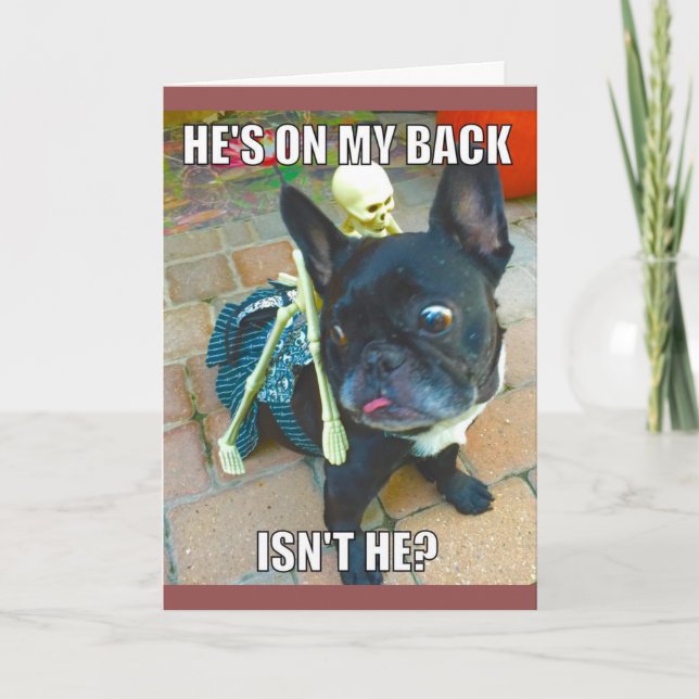 Cartão QueenFiFi Halloween Card (Frente)