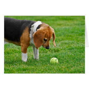 Cartão Queira jogar?