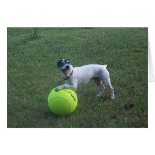 Cartão Queira jogar?