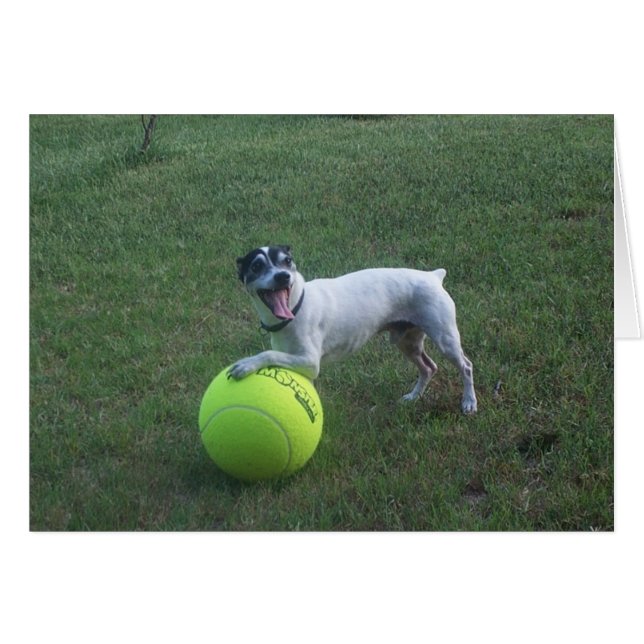 Cartão Queira jogar? (Frente Horizontal)