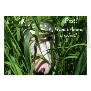 Cartão Queira saber um segredo