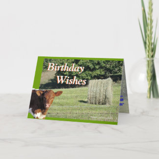 Cartão Quella&Hay BdayWishes-customize