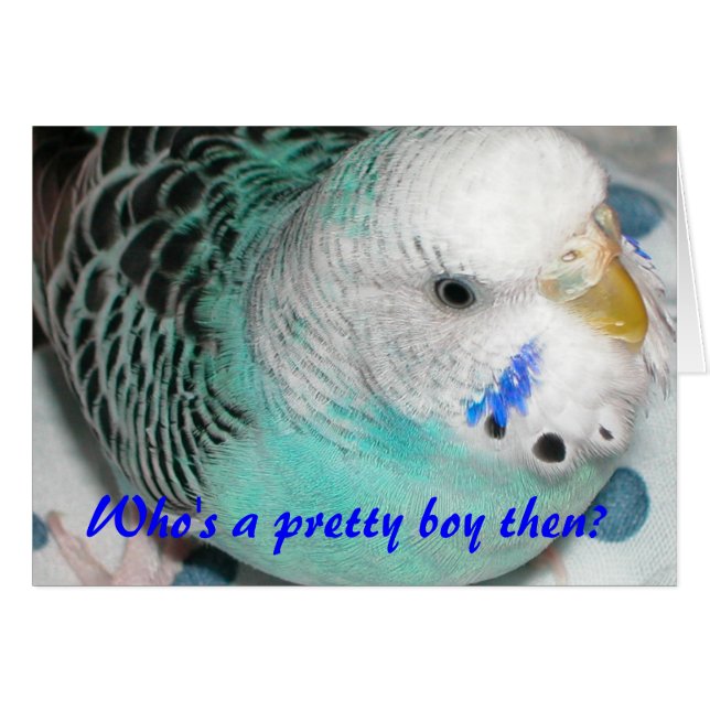 Cartão Quem é um garoto bonito? (Frente Horizontal)