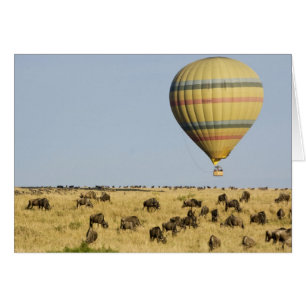 Cartão Quênia, Masai Mara. Turistas passeiam de balão de