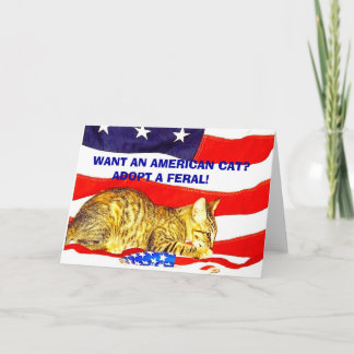 Cartão Quer um gato americano? Adote um Feral!