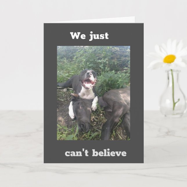 Cartão QUEREMOS DIZER **FELIZ aniversário de 40 anos** Ca (Planta pequena)