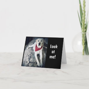 CARTÃO QUERIA DIZER "FELIZ ANIVERSÁRIO" EM PESSOA