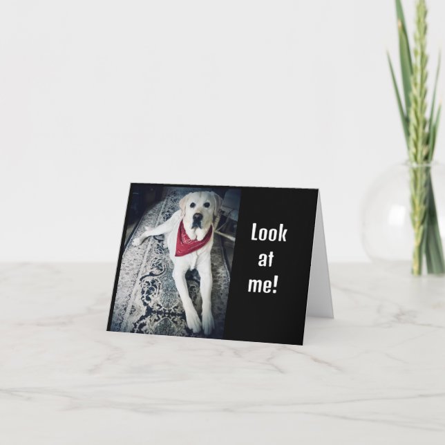 CARTÃO QUERIA DIZER "FELIZ ANIVERSÁRIO" EM PESSOA (Frente)