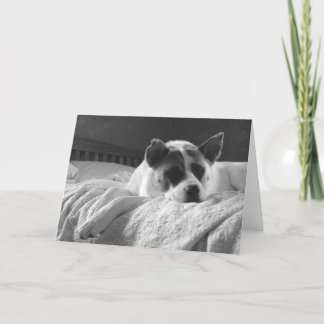 Cartão Queria que estivesse aqui.