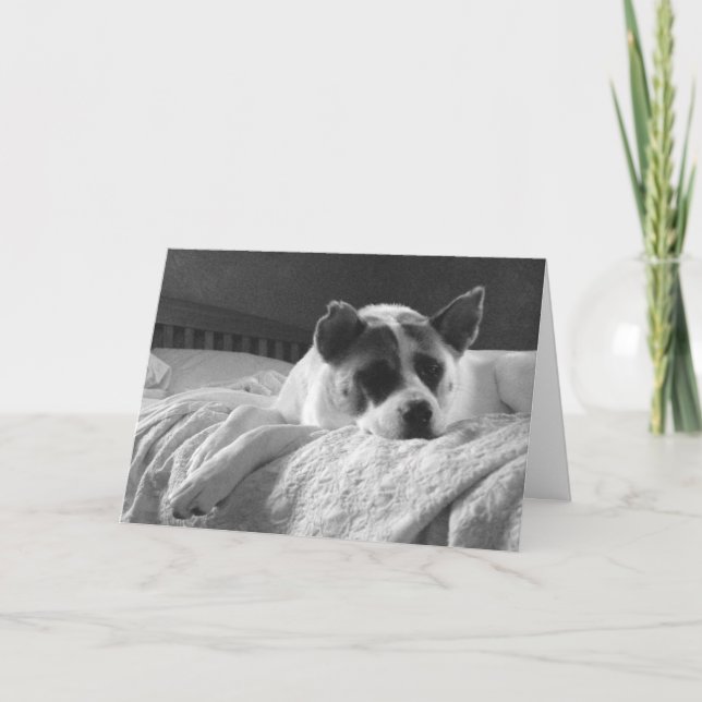 Cartão Queria que estivesse aqui. (Frente)