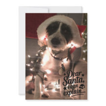 Querido Papai Noel eu posso explicar (cachorro)