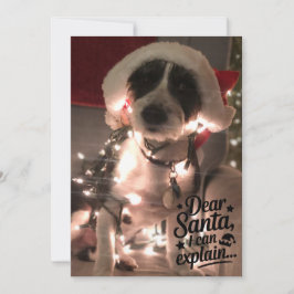 Cartão Querido Papai Noel eu posso explicar (cachorro)