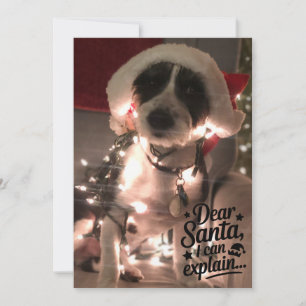 Cartão Querido Papai Noel, eu posso explicar (cachorro)