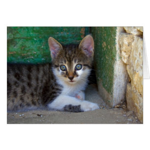 Cartão Querido Tiger Cat Baby