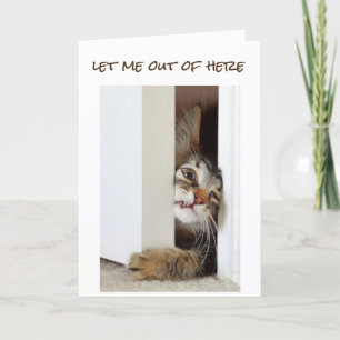 CARTÃO QUERO DIZER **FELIZ ANIVERSÁRIO** PARA "VOCÊ" AGOR