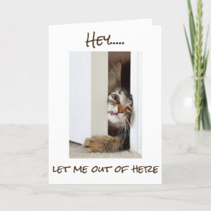 CARTÃO QUERO DIZER **FELIZ ANIVERSÁRIO** PARA "VOCÊ" AGOR