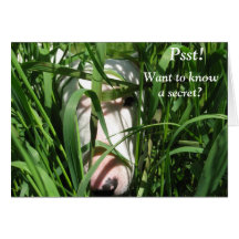 Quero saber um segredo