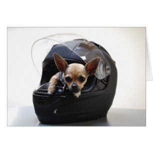 Cartão Qui da motocicleta