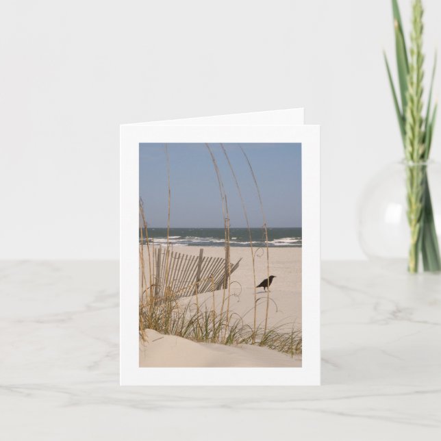 Cartão Quiet Moment on a Hilton Head Beach (Frente)