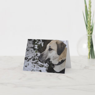 Cartão Quilo Notecard do cão do salvamento de Nowzad