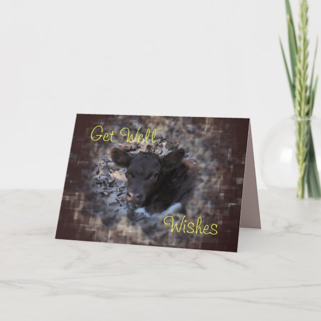 Cartão Quincy Pinzgauer Calf 5896- make any occasion (Frente)