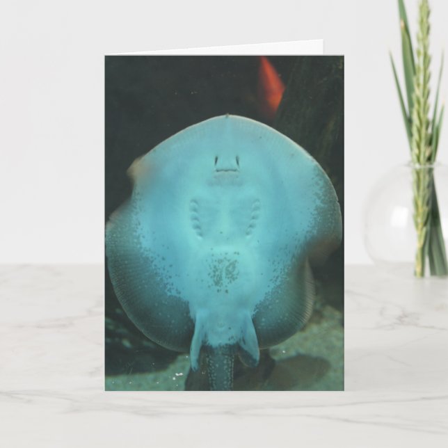 Cartão Quirky Manta Ray Greeting Card (Frente)