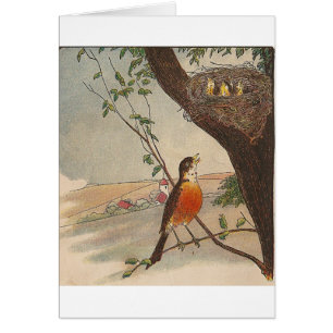 Cartão R é para Robin