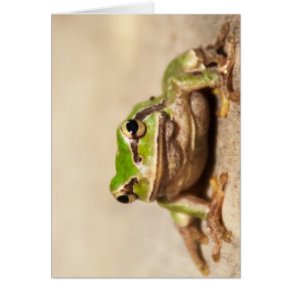 CARTÃO RÃ