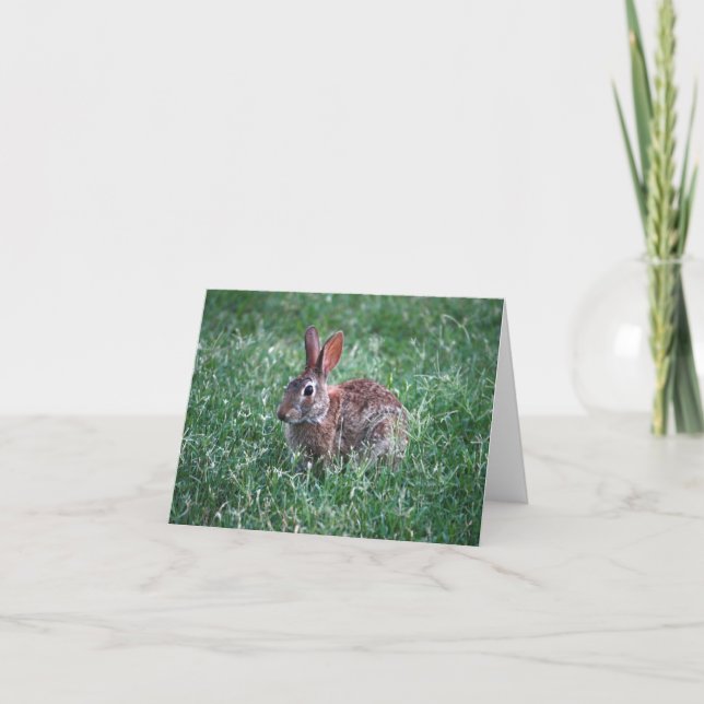 Cartão Rabbit Notecard (Frente)