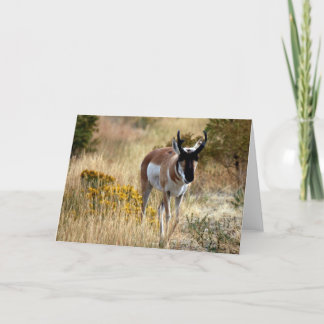 Cartão rabiscos 742