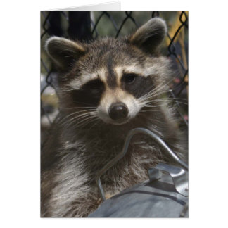 Cartão rabiscos 759