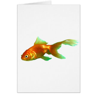 Cartão rabo-de-rico