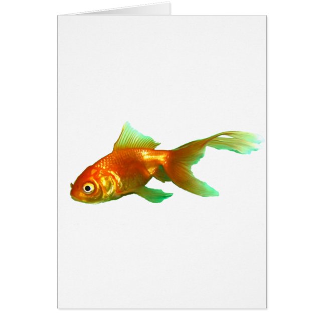 Cartão rabo-de-rico (Frente)