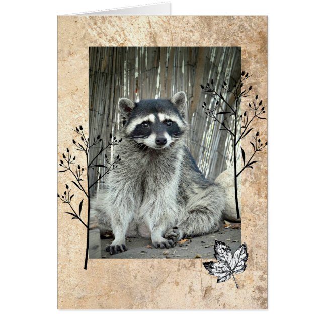 Cartão Raccoon Adorável (Frente)