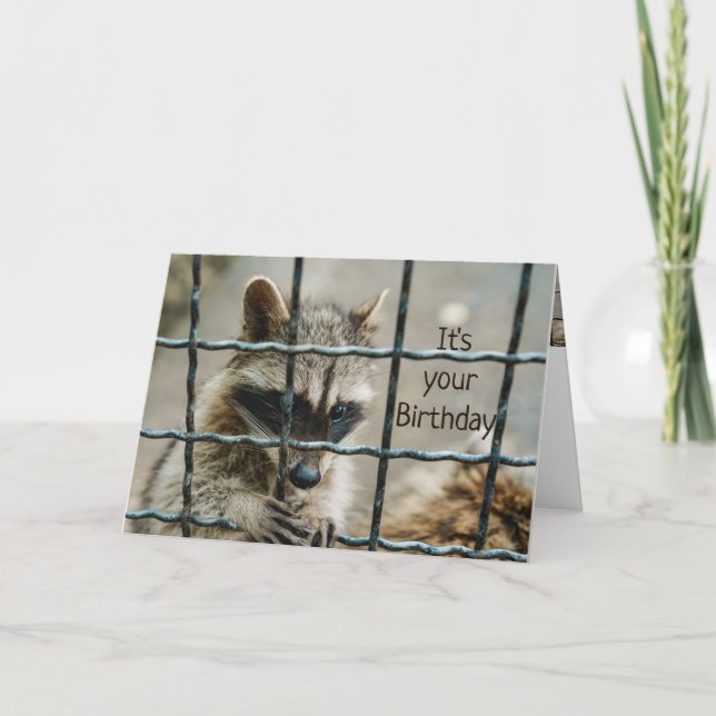 Cartão Raccoon Divertido Você Capturou Meu Coração Te Ama (Frente)