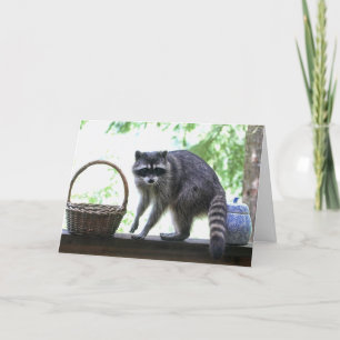 Cartão Raccoon e Cookie Jar