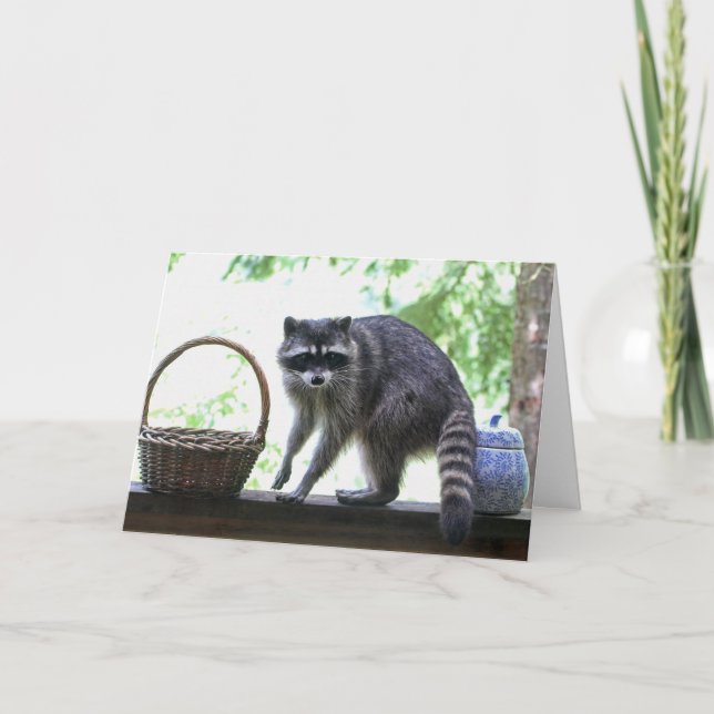 Cartão Raccoon e Cookie Jar (Frente)