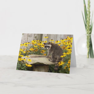 Cartão Raccoon Greeting Card