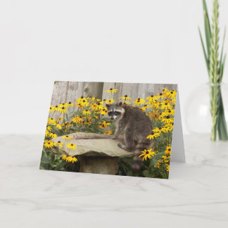 Cartão Raccoon Greeting Card