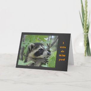 Cartão Raccoon - Notecard