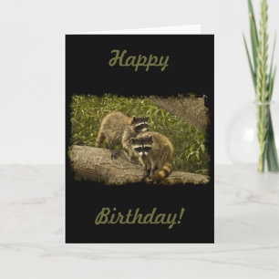 Cartão Raccoons Birthday