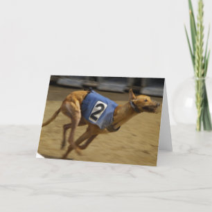 Cartão Racing Greyhound Greeting Card