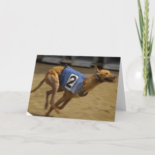Cartão Racing Greyhound Greeting Card (Frente)